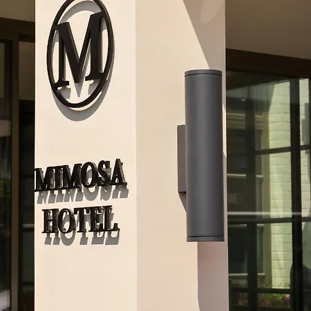 Mimosa 4*