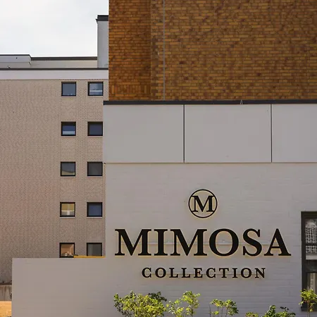 Mimosa 4*