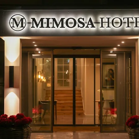 Hotel Mimosa