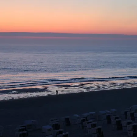 Mimosa Отель 4*