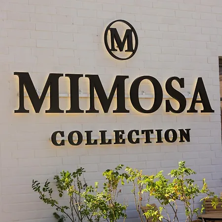 Hotel Mimosa