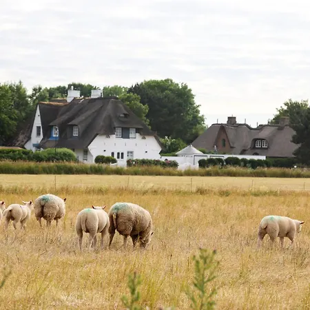 Отель Mimosa 4*