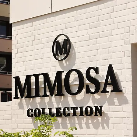 Mimosa 4*