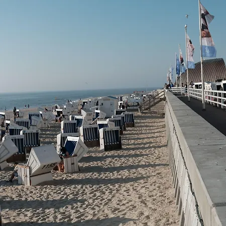 Mimosa Hotel 4*