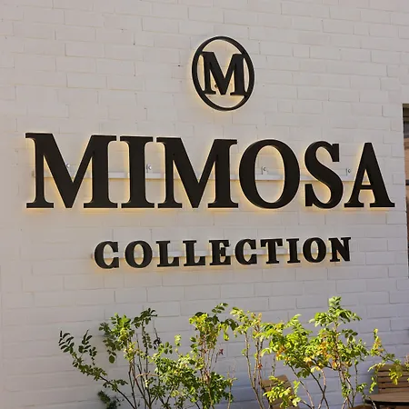 Hotel Mimosa 4*