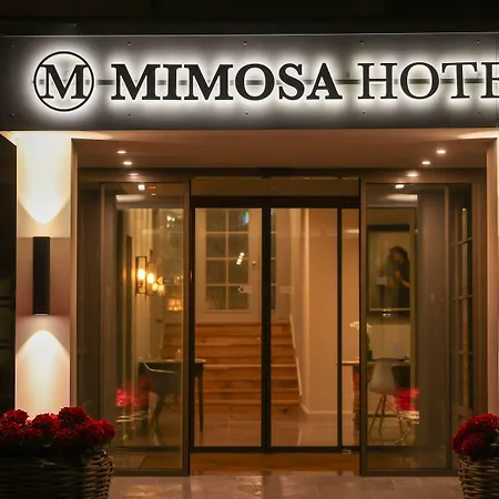 Mimosa 4*