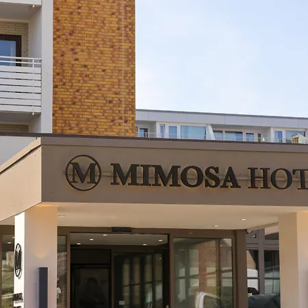 Hotel Mimosa 4*