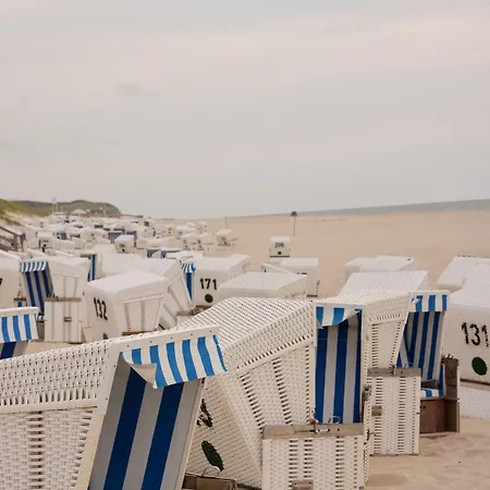 Mimosa 4* Westerland