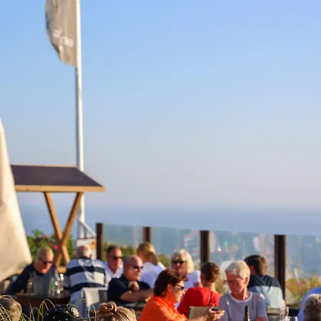 Mimosa 4* Westerland