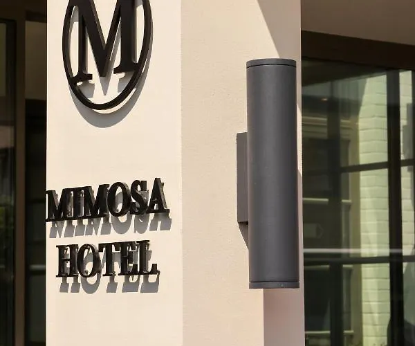 Mimosa 4*