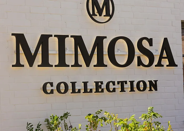 Hotel Mimosa 4*