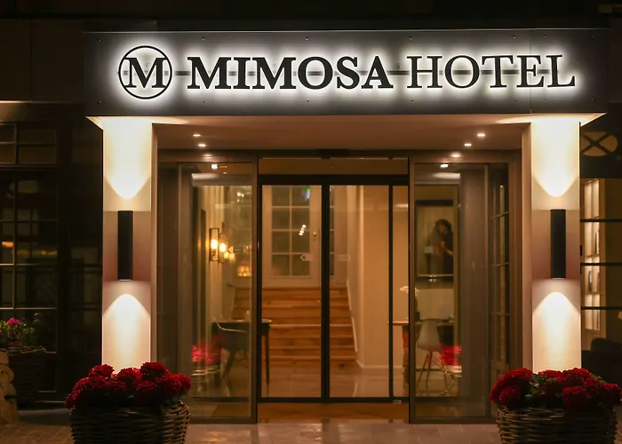 Mimosa 4*