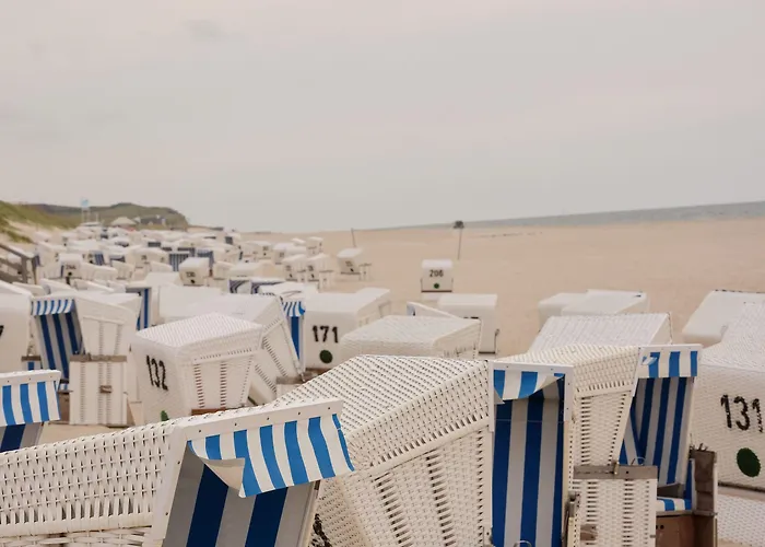 Mimosa 4* Westerland